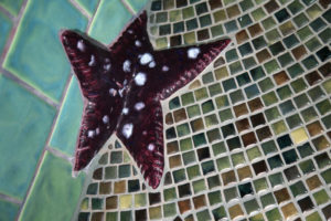 Custom porcelain tile, glass and custom fish bathroom 